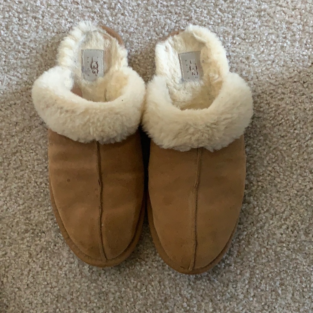 Ugg Scuffette Slippers in Chestnut